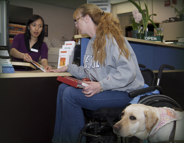 Woman in wheelchair with service dog speaking to administration staff.